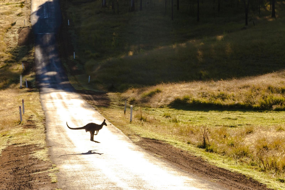 Australian landscape